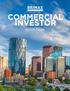 COMMERCIAL INVESTOR REPORT 2018