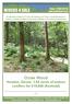Ozias Wood Honiton, Devon acres of mature conifers for 19,000 (freehold)