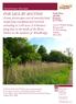 Guide Price 25,000 Freehold Ref: C1386/H. Land at Wilford Bridge, Bromeswell, Nr Woodbridge, Suffolk, IP12 2PG