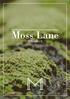 Moss Lane. Ballynahinch
