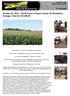 October 20, Acres of Sioux County, IA Farmland & Acreage - Sold for $13,000.00