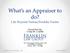 What s an Appraiser to do?